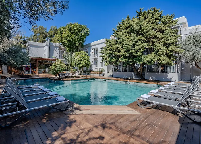 Pets Allowed Hotel Centro Bodrum